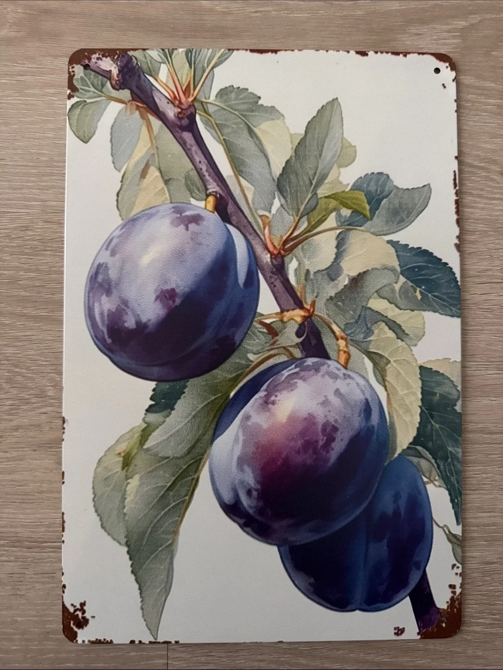 Vintage Botanical Plum Wall Art Decor NEW 🏷️